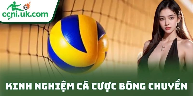 Kinh Nghiệm Cá Cược Bóng Chuyền