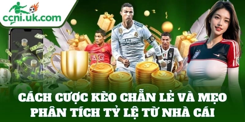 Cách Cược Kèo Chẵn Lẻ và mẹo phân tích tỷ lệ từ nhà cái