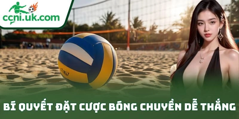 Bí Quyết Đặt Cược Bóng Chuyền Dễ Thắng