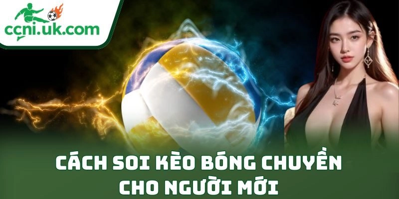 Cách Soi Kèo Bóng Chuyền Cho Người Mới